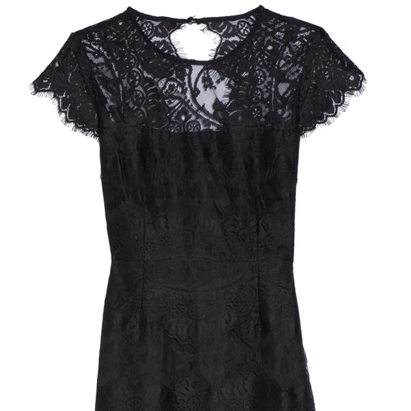 BB Dakota Dresses & Skirts - NWOT BB Dakota Dress